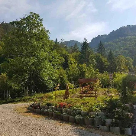 Holiday Rupicapra